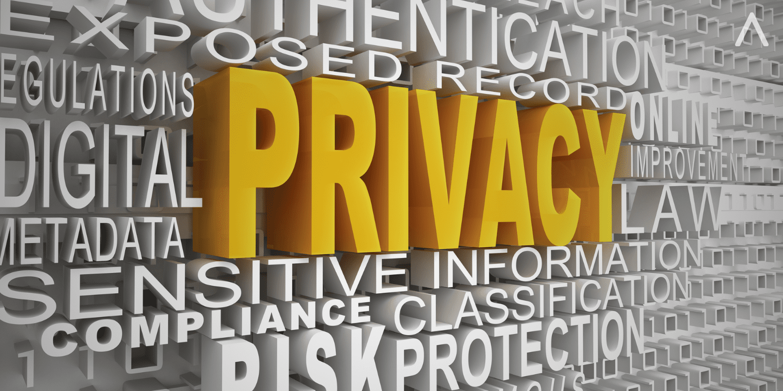 EU/US Data Privacy/Protection Legal Updates You Need to Know 